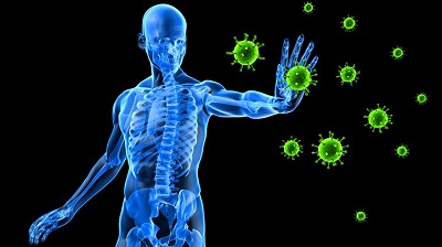 The immune system is the body's first line of defense system.