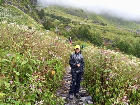 Valley of Flowers National Park, Joshimath, Himalayas