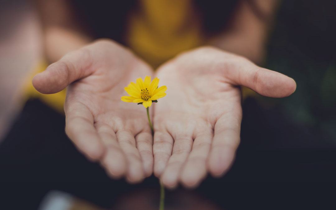 Here’s what it really means to forgive.