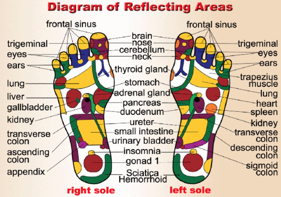 Traditional Chinese Medicine feet chart — Rosan Cruz * Urban Energy Healer