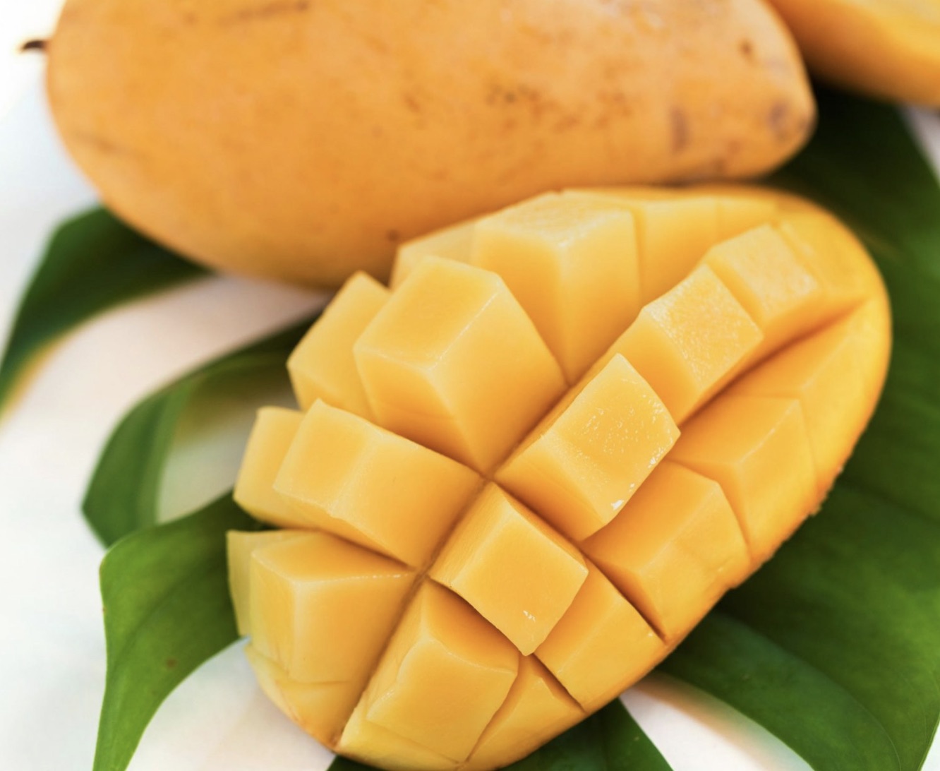 The healthy benefits of mango + a fun recipe — Rosan Cruz * Urban ...