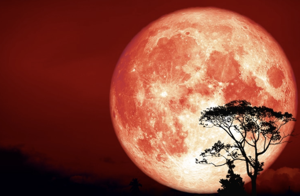 Full moon in Aries on October 10, the 1010 energy