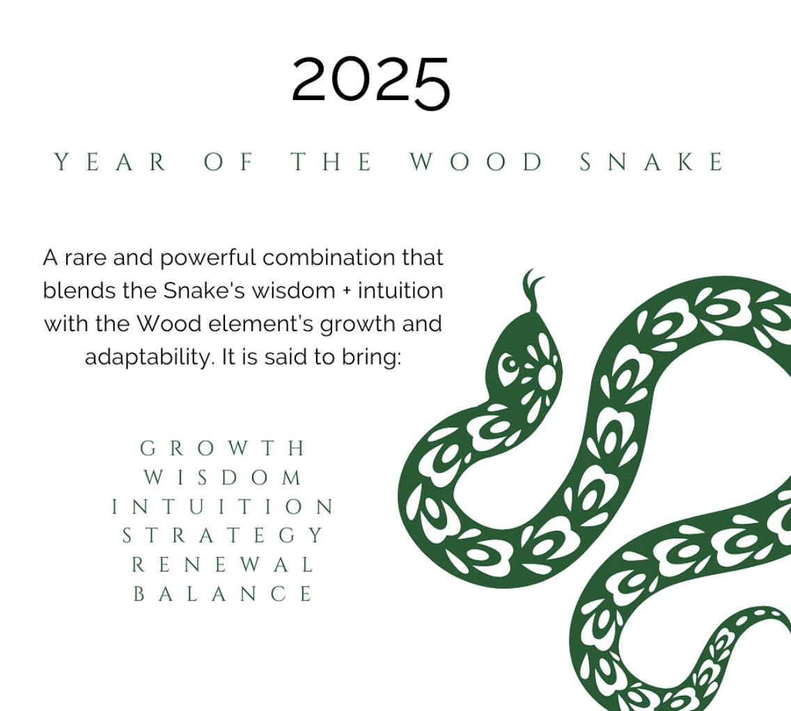 Visual Reference: Year Of The Snake Rosan Cruz Holistic Energy Healer