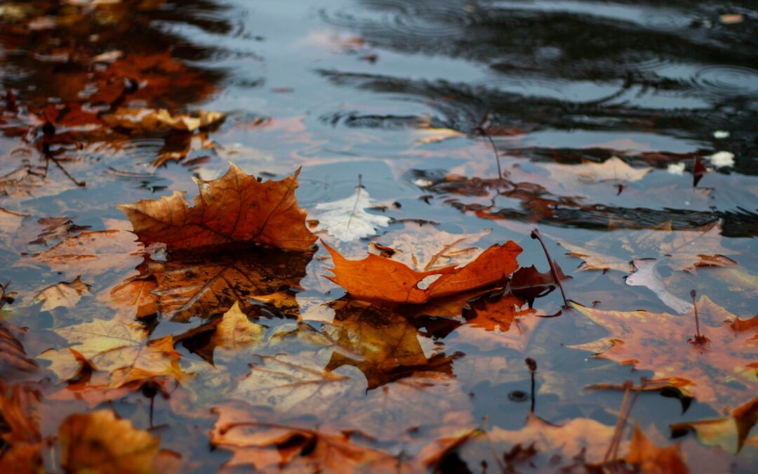 Make space for new beginnings this September