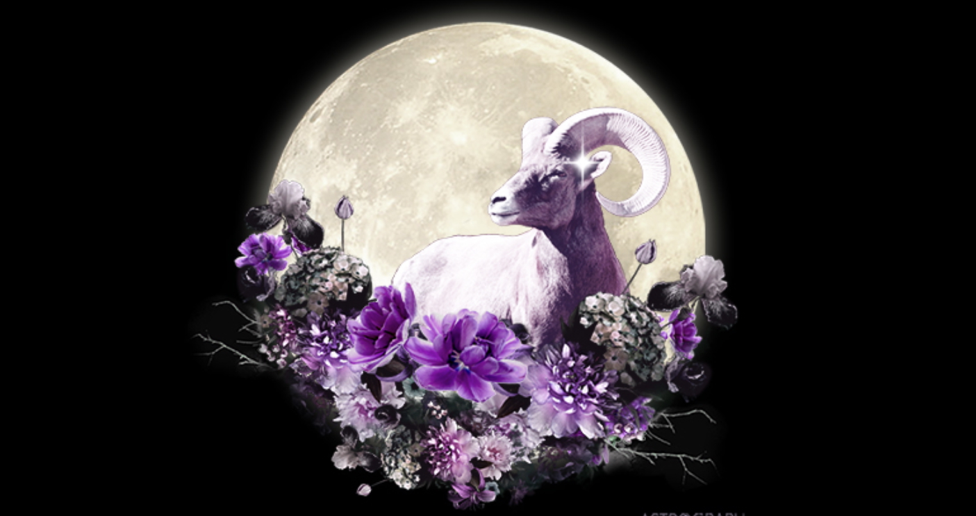 Full Moon in Aries Gong Bath — Rosan Cruz * Holistic Energy Healer