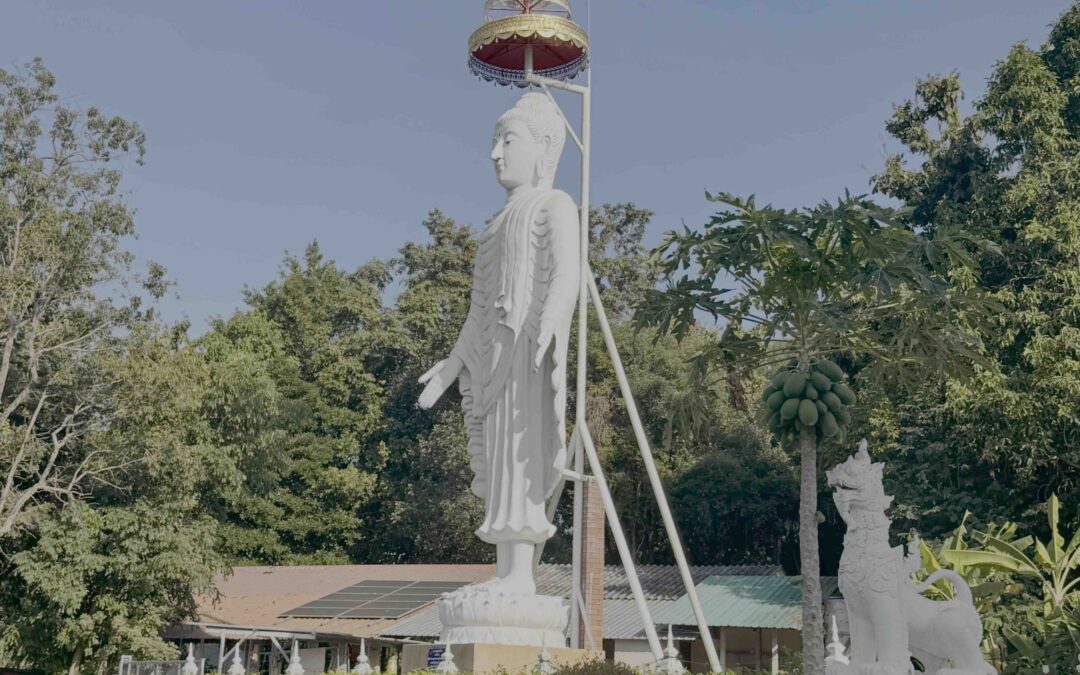 Leting go of the Ego Mind