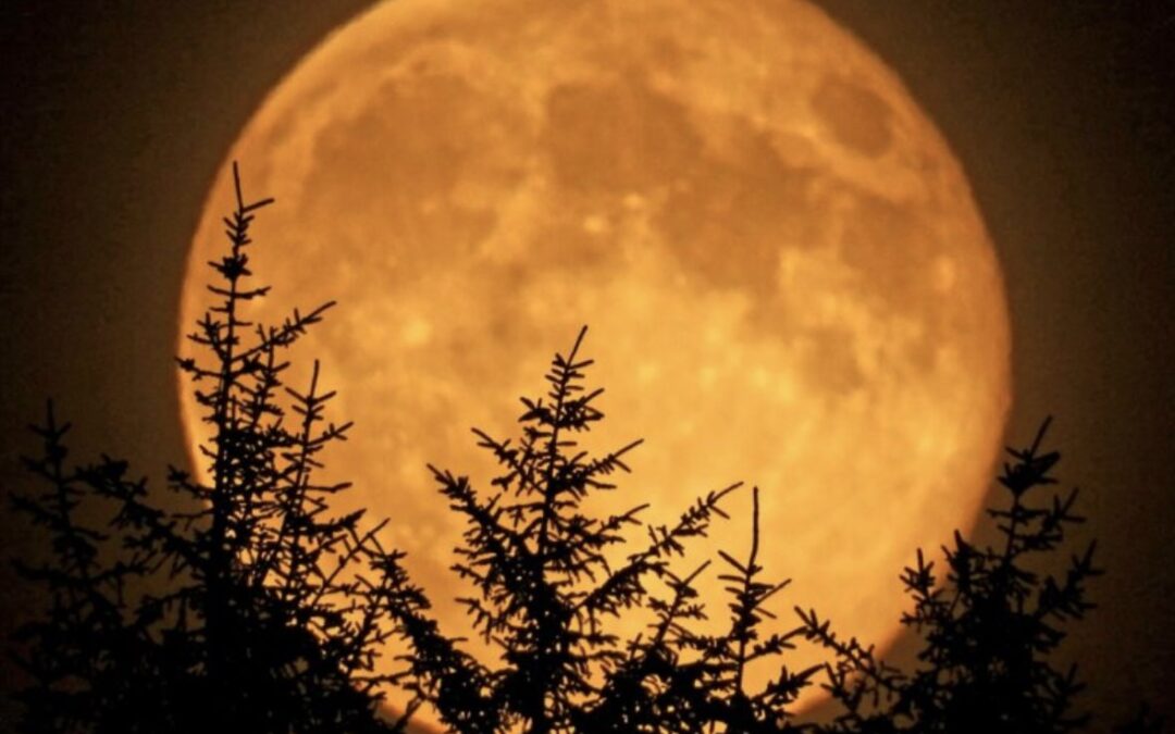 Last Supermoon of 2025