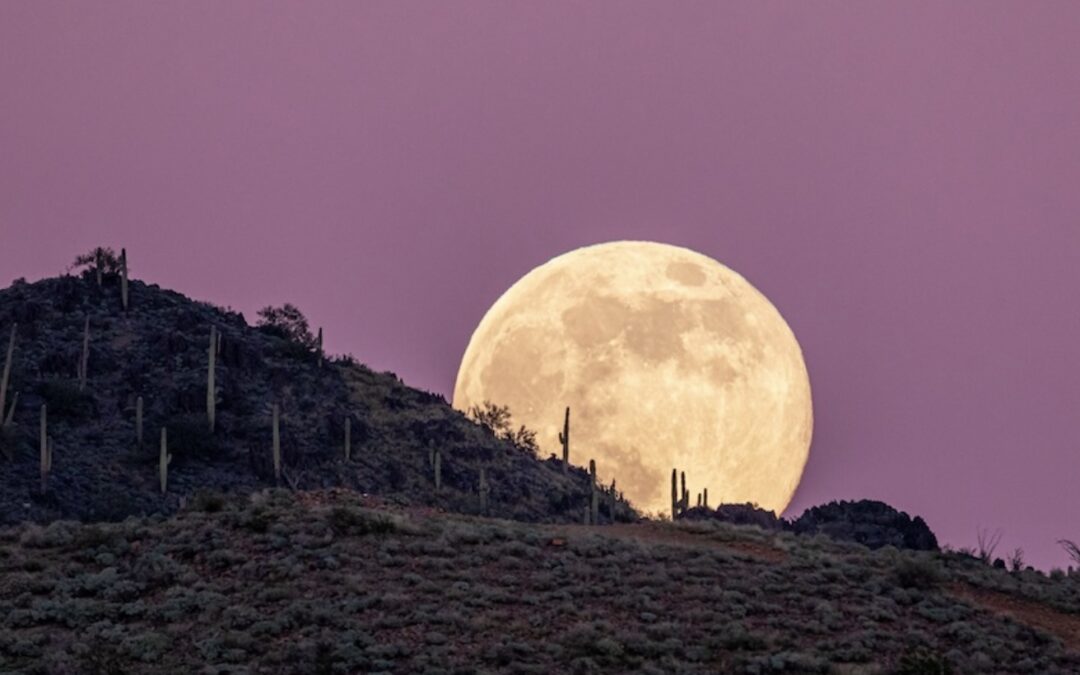 First Full Moon of 2026 — A Cancer Supermoon