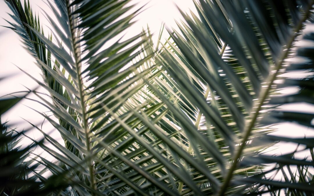 Take that pause this Holy Week