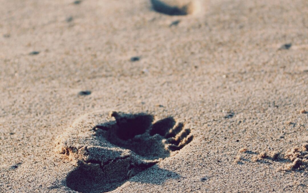 One Clear Step This Virgo New Moon