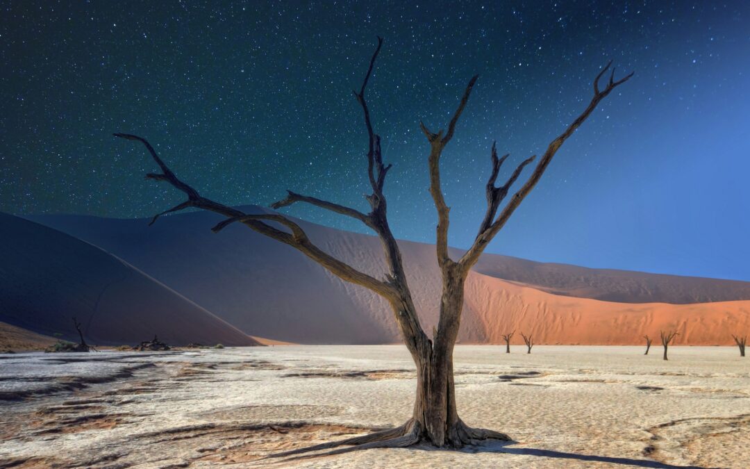 Find Your Inner Equinox